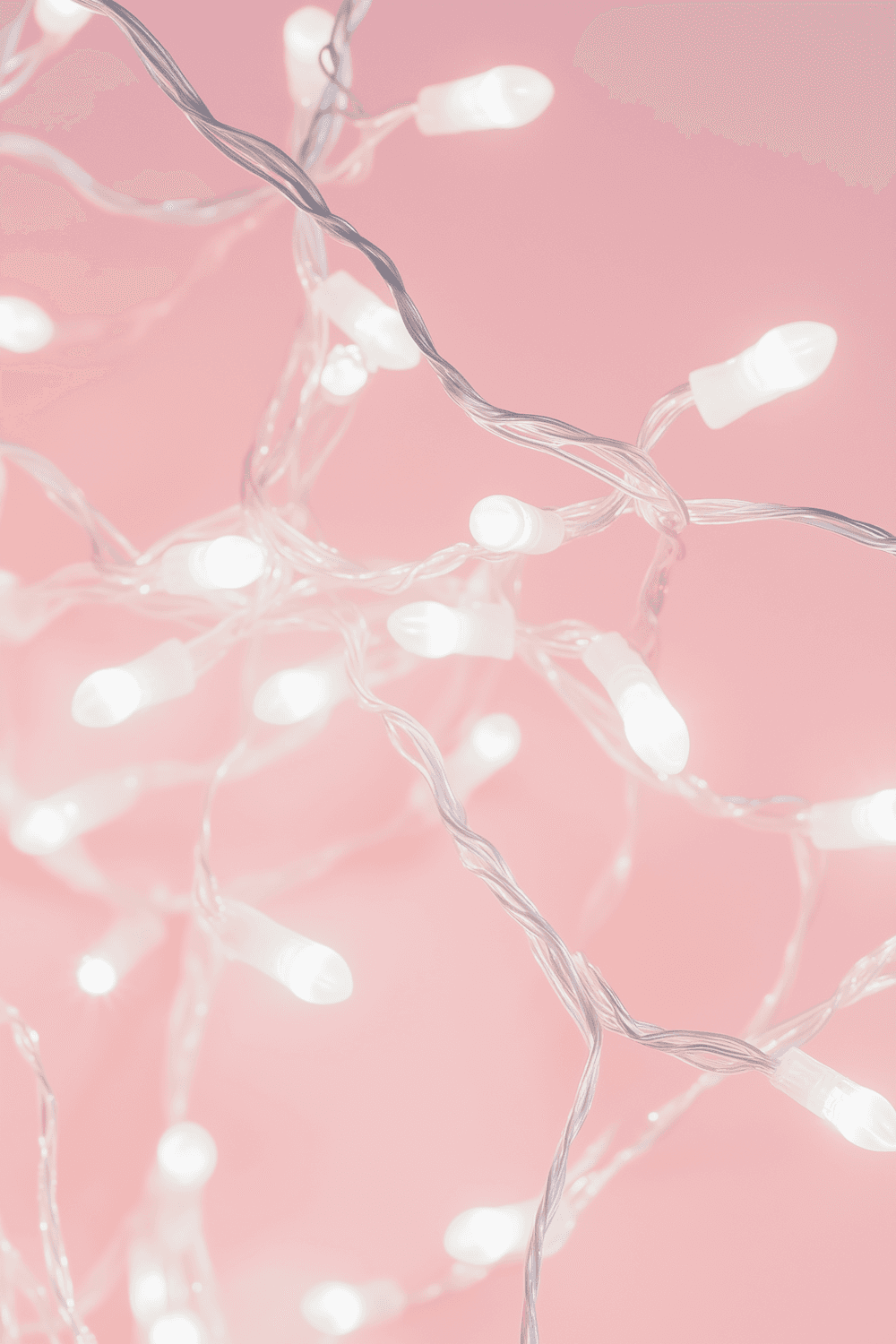 Warm string lights glowing against a soft pink backdrop